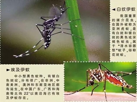 微信截图_20230927114900