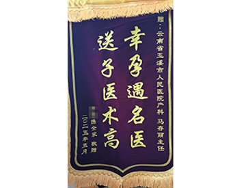 幸孕遇名医 送子医术高