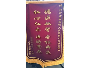 德医双馨 杏林典范 仁心仁术 医路繁花