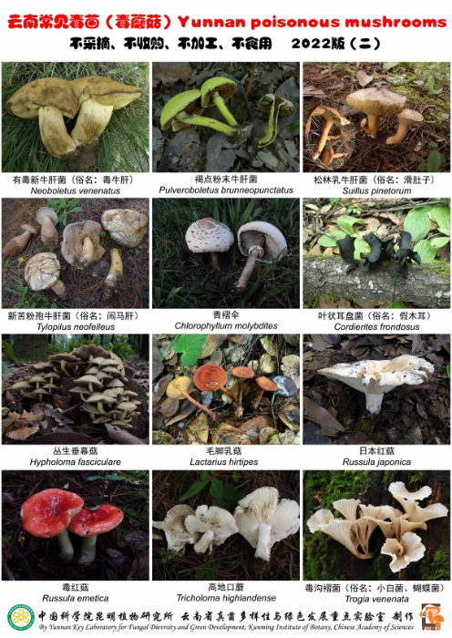 图片2