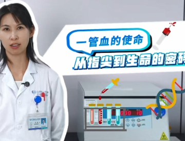 从指尖到生命的密码