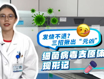 细菌病毒支原体现形记