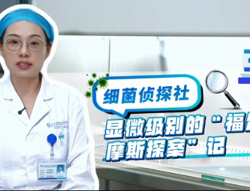 显微级别的“福尔摩斯探案”记