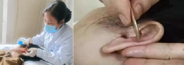 ScreenShot_2025-12-26_175832_221